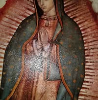 Maria Gomez's profile image