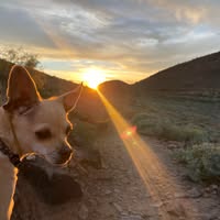 Teresa Loza's profile image