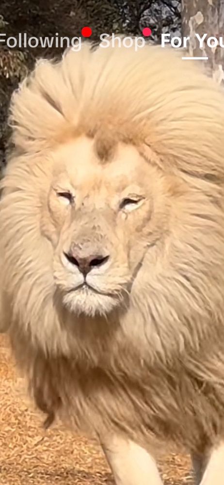 Monique W.'s profile image