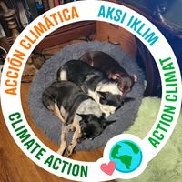 Sheryl Strain's profile image