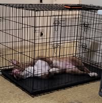 Lester Stabler's profile image