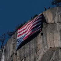 Mel Giovinco's profile image