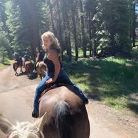 Terry Flanagan's profile image