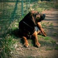 Michelle Carcia-Potter's profile image