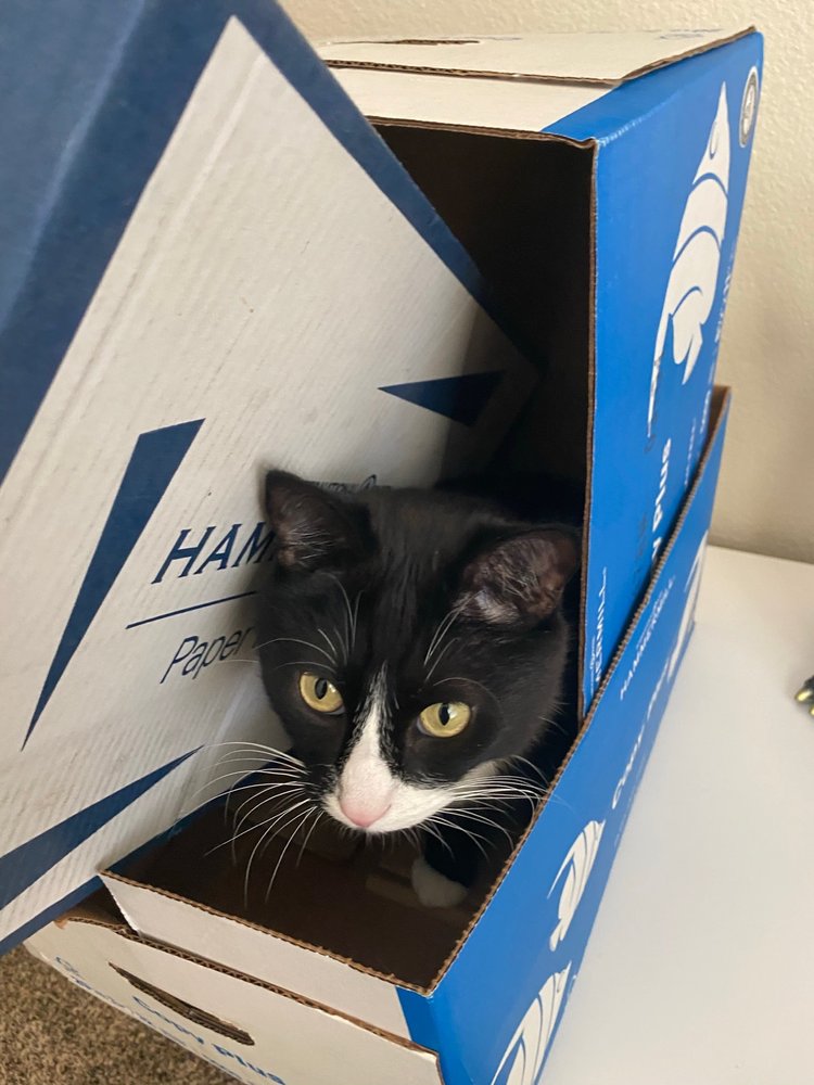 Jennifer T.'s profile image