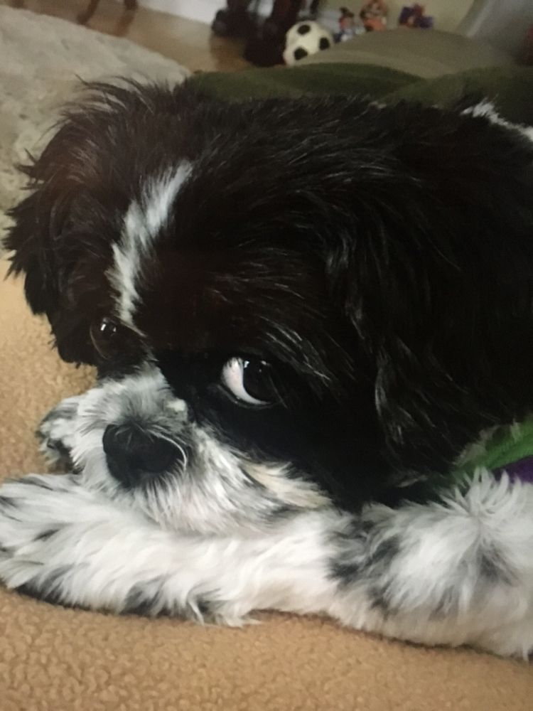 Charlie P.'s profile image