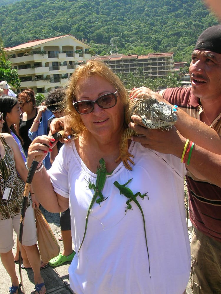 Barbara N.'s profile image