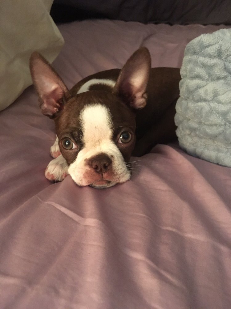 Keona F.'s profile image