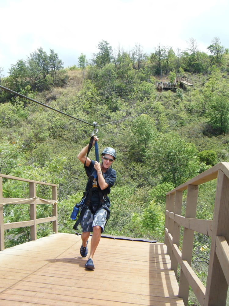 Pam P.'s profile image