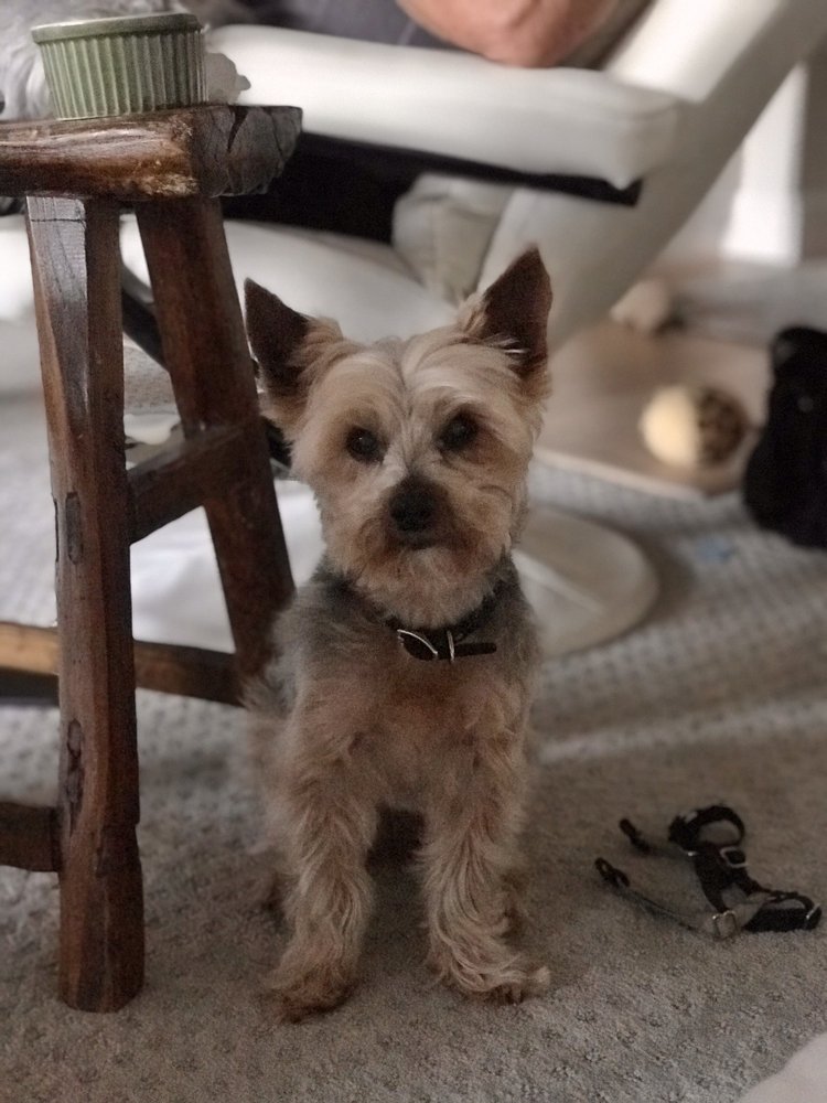 L B.'s profile image