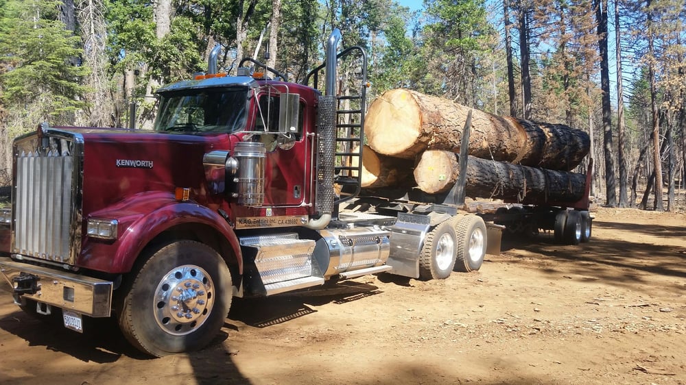 Jenny K.'s profile image