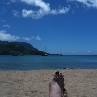 Michelle V.'s profile image