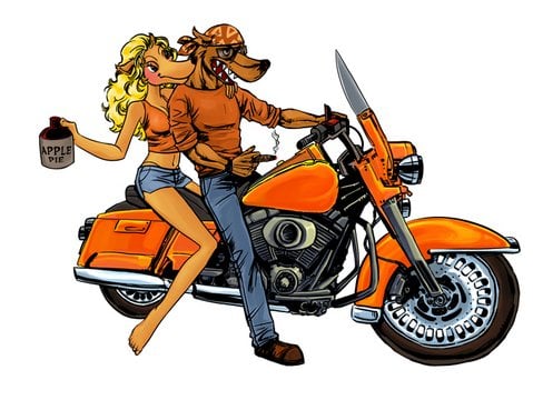 Don C.'s profile image