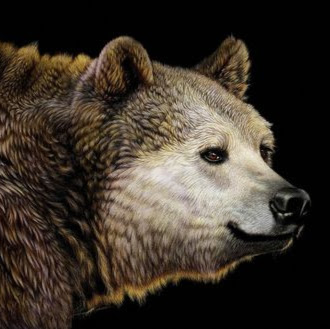 Andrei Mikhailov's profile image