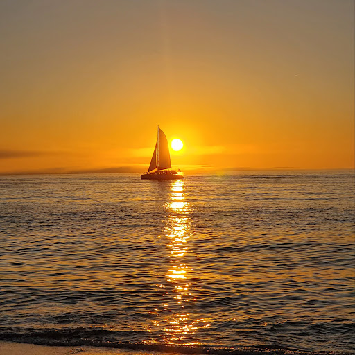 Joy denHartog's profile image