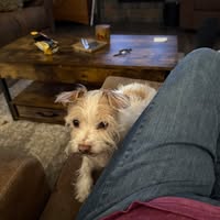 Anna Wołołoska's profile image