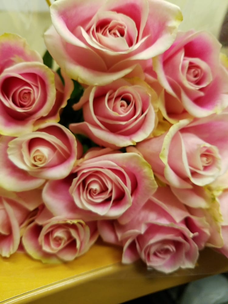 Kristen W.'s profile image