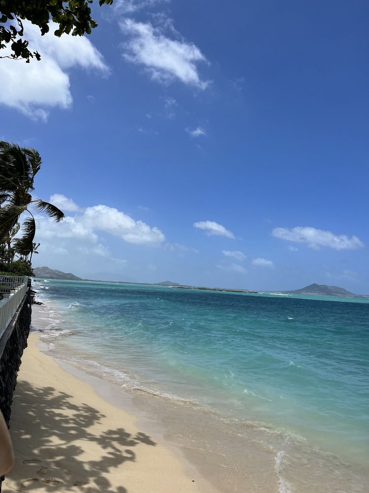 Nicolas P.'s profile image