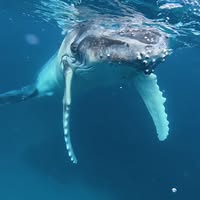 Reese Jack's profile image