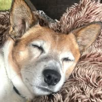 Karen Skinner's profile image