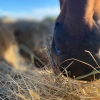 Leeanne Humphrey's profile image