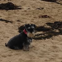 Deb Collins's profile image