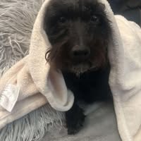 Alan Tales's profile image