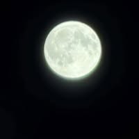 Yvonne Chan's profile image