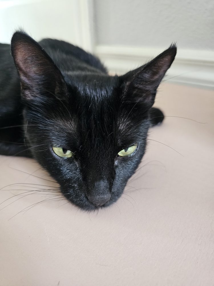 Cherry P.'s profile image