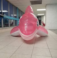 Justin North's profile image