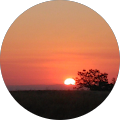 Profile Photo of Heather Beck