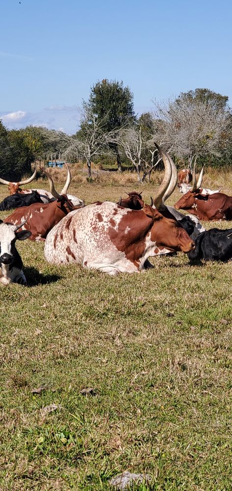 D. H.'s profile image