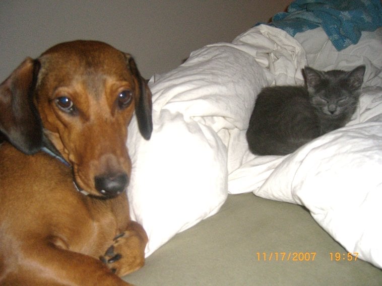 Sierra T.'s profile image