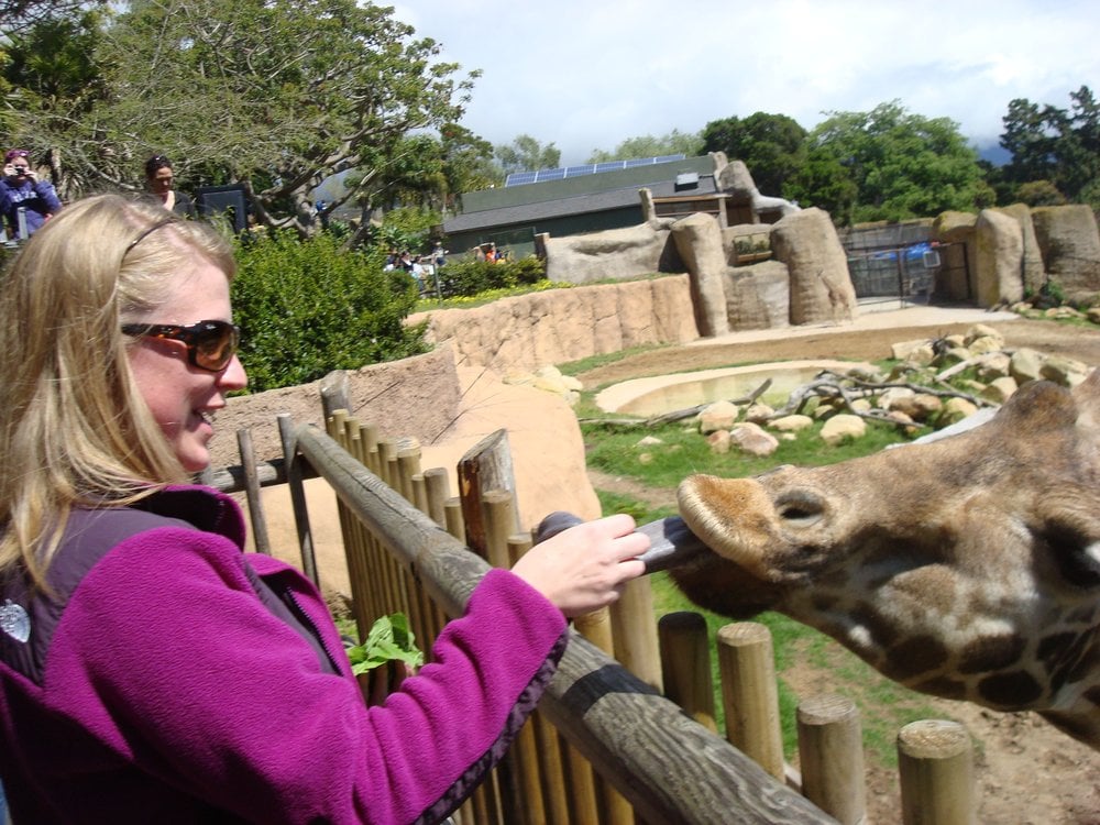 K D.'s profile image