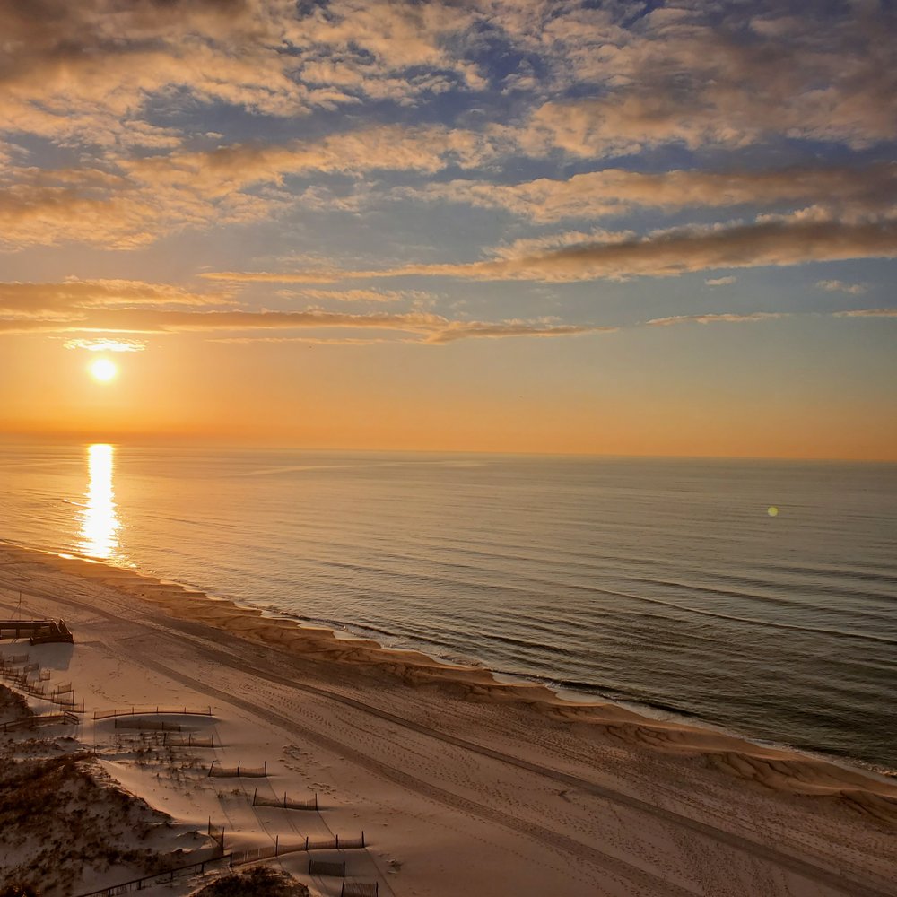 Cornelia M.'s profile image