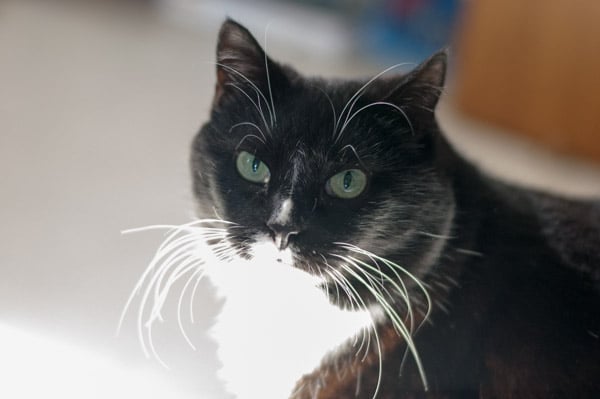 Dee V.'s profile image