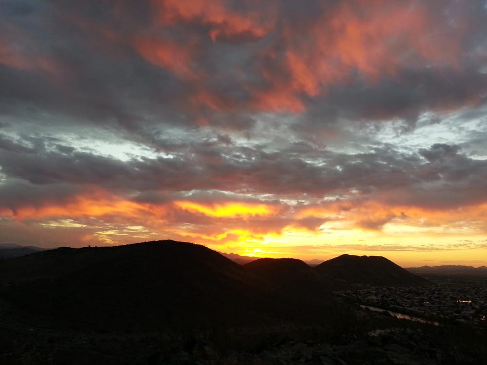 Dee N.'s profile image