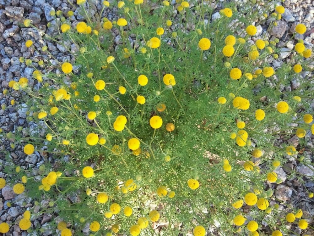 Itas F.'s profile image