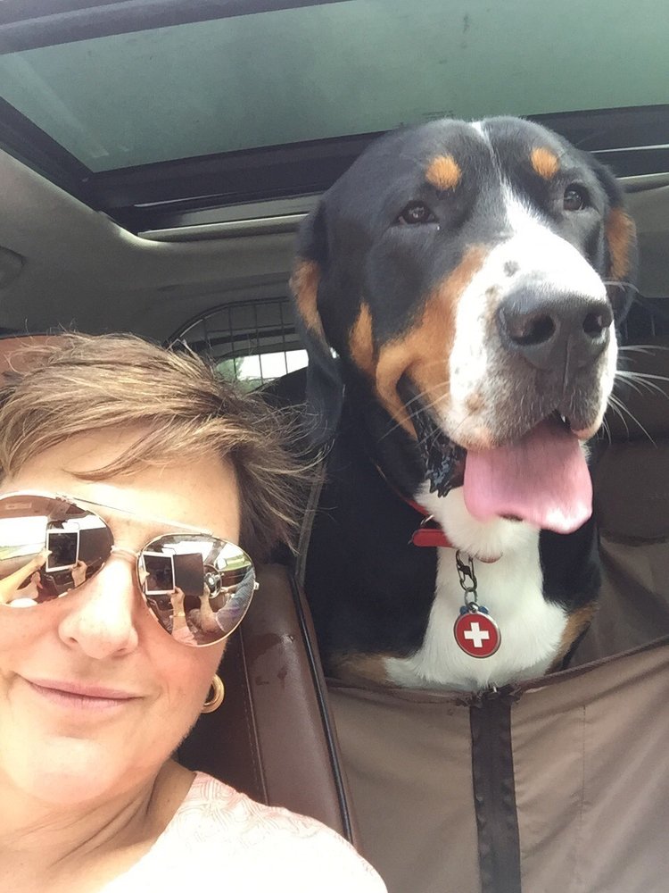 Kerstin T.'s profile image