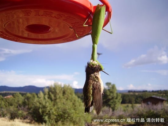 Sixpack Y.'s profile image