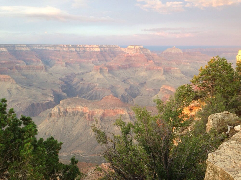 Kim O.'s profile image