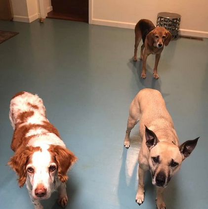 Lori G.'s profile image