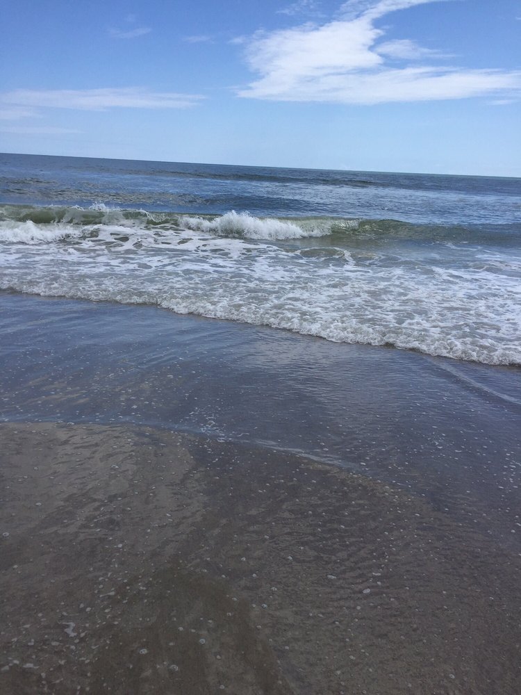 Allison M.'s profile image