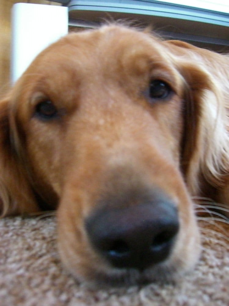 S L.'s profile image