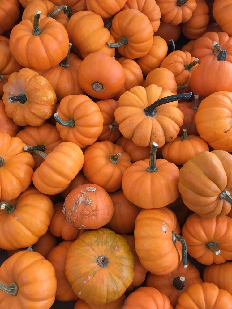 Joan H.'s profile image