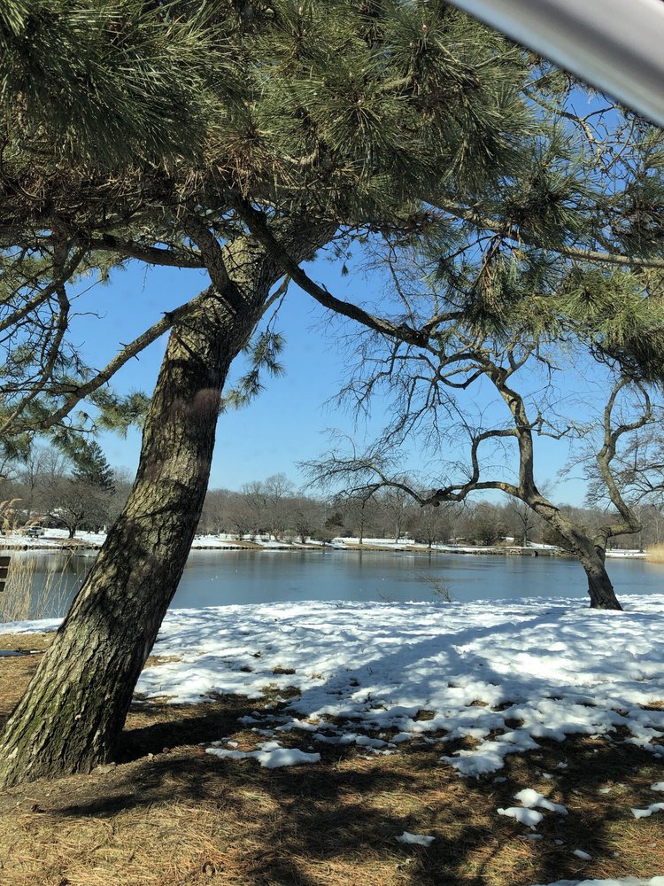 L J.'s profile image