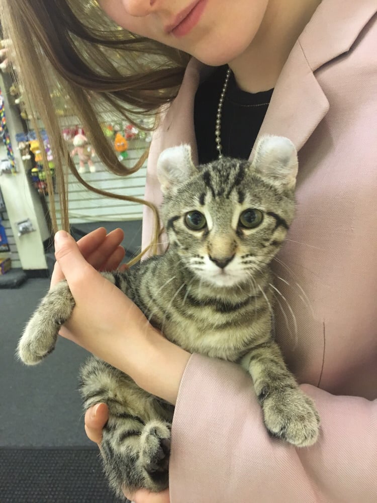 Victoria M.'s profile image