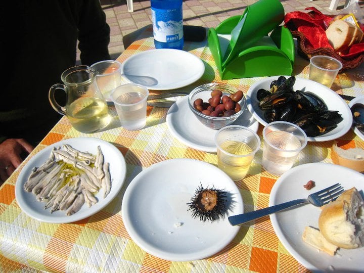 Lisa e.'s profile image