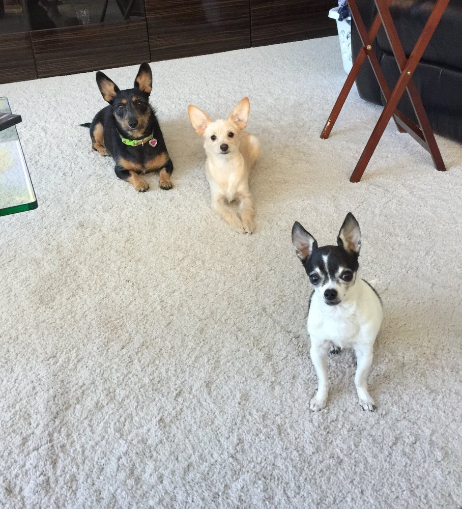 Franc C.'s profile image