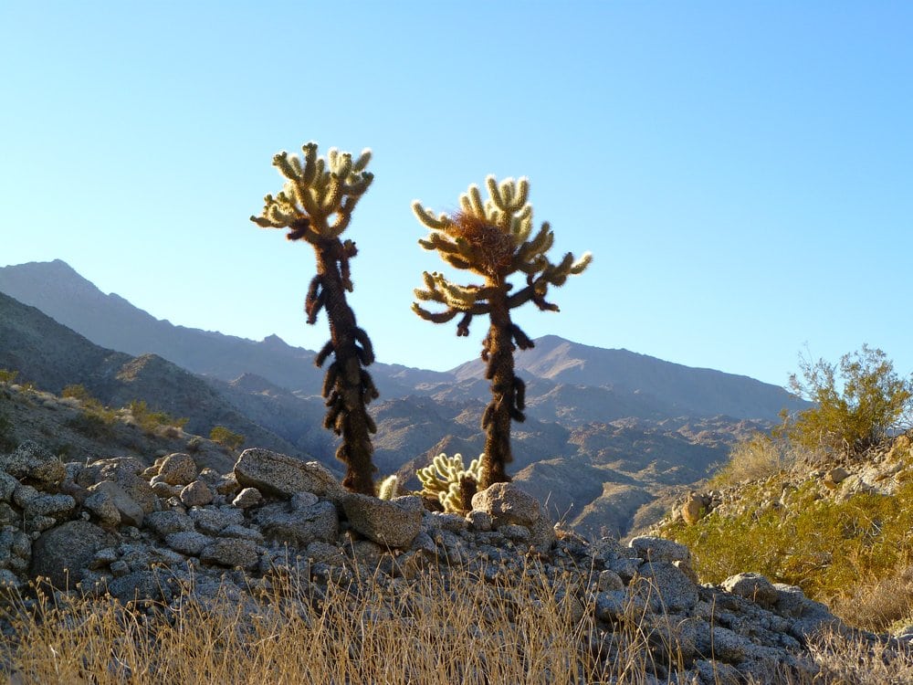 Vanessa E.'s profile image